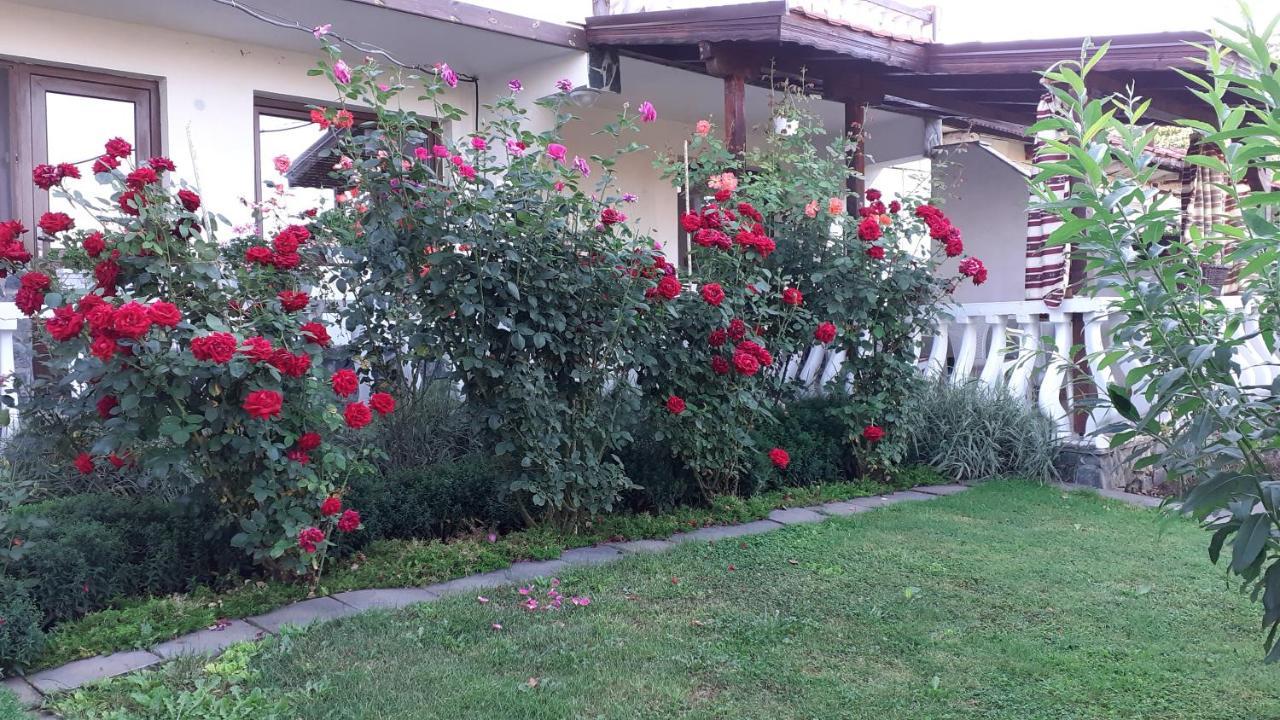 Guesthouse Dida Saparewa Banja Exterior foto