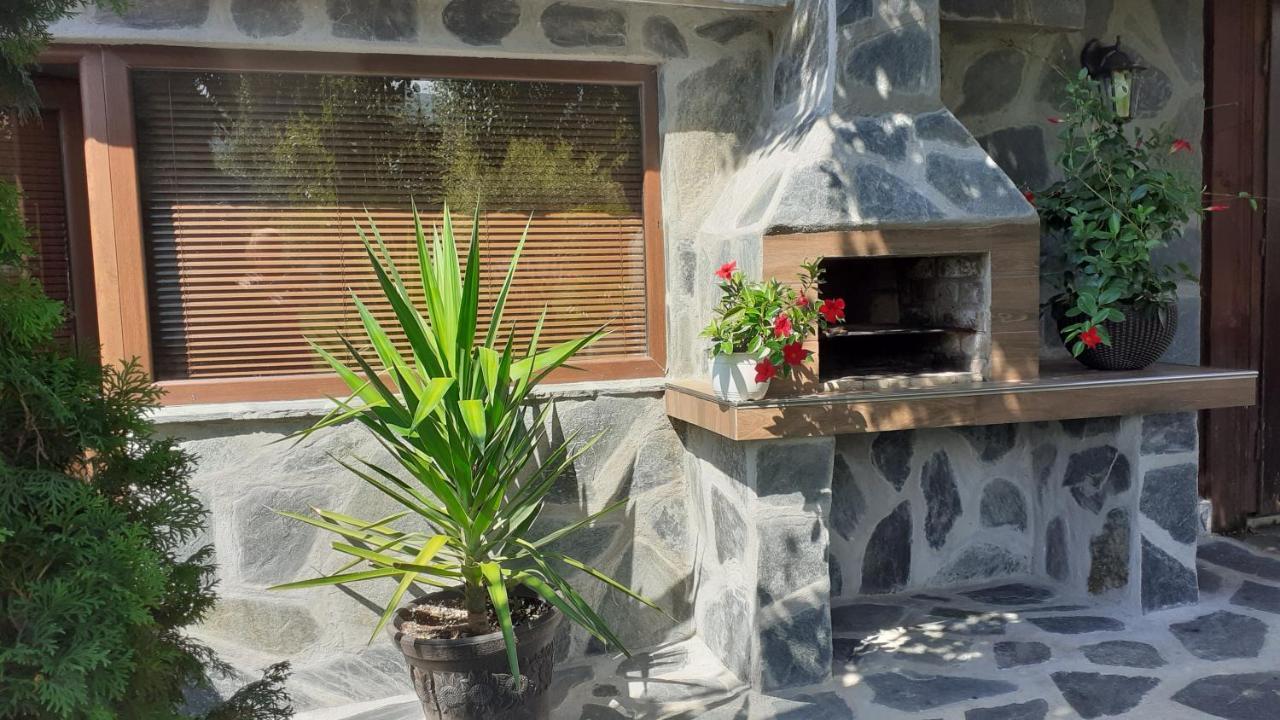 Guesthouse Dida Saparewa Banja Exterior foto