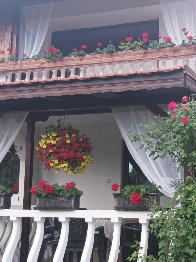 Guesthouse Dida Saparewa Banja Exterior foto